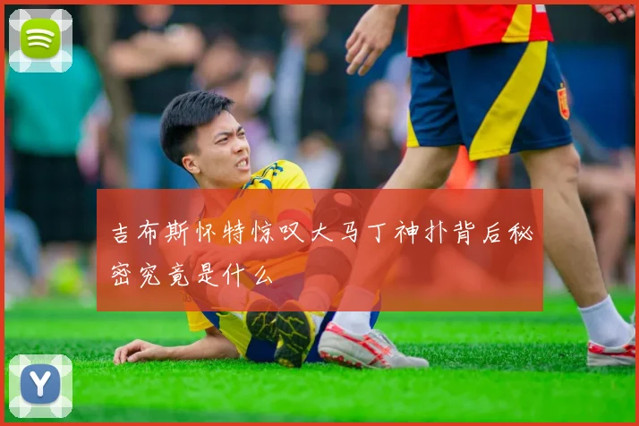 吉布斯怀特惊叹大马丁神扑背后秘密究竟是什么